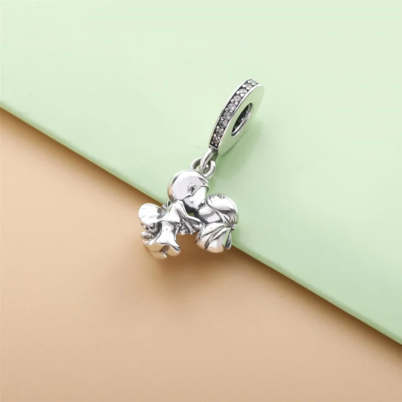(bilde for) Pandora Gift par Hengende Charm - 798896C01 - Vis 3