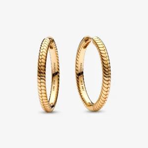 (bilde for) Pandora Moments Charm Øreringer - 269532C00