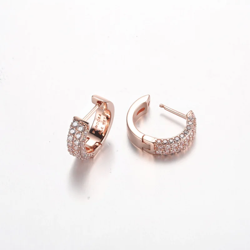 (bilde for) Pandora Timeless Pavé Dobbel Rad Øreringer - 282622C01 - Vis 5