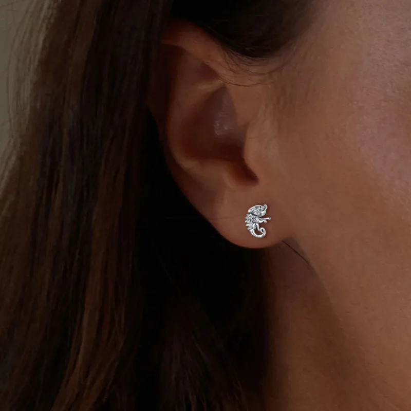 (bilde for) Pandora-stil kameleon øredobber - SCE1661 - Vis 5