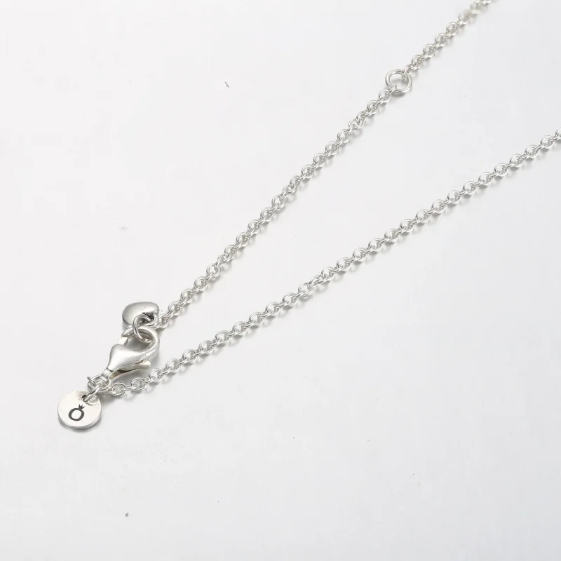 (bilde for) Pandora Familie For Alltid Omkranset Anheng Halskjede - 391455C01 - Vis 4