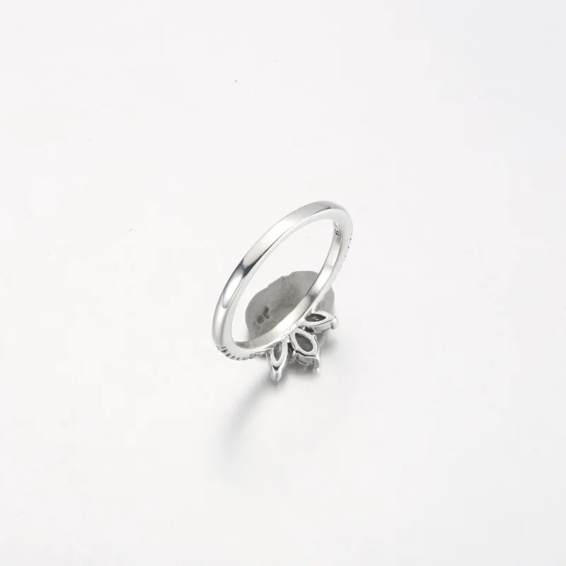 (bilde for) Pandora Funklende Herbarium Klynge Ring - 192392C01 - Vis 5