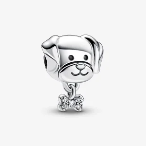 (bilde for) Pandora Hund og Ben Charm - 792254C01