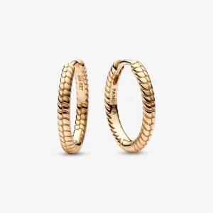 (bilde for) Pandora Moments Små Charm Øreringer - 262728C00