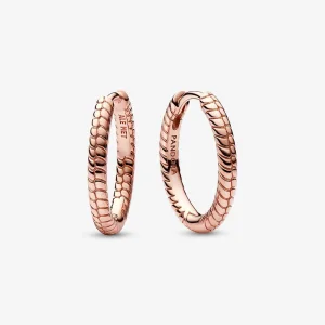 (bilde for) Pandora Moments Små Charm Øreringer - 282728C00