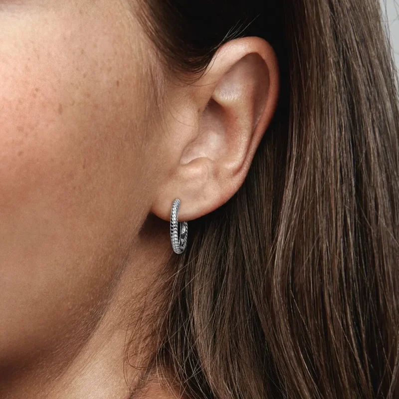 (bilde for) Pandora Moments Små Charm Øreringer - 292728C00 - Vis 3