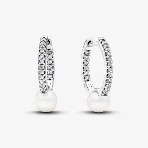Pandora Behandlet Ferskvannskulturperle og Pavé Øreringer - 293171C01 (bilde for) Pandora Behandlet Ferskvannskulturperle og Pavé Øreringer - 293171C01