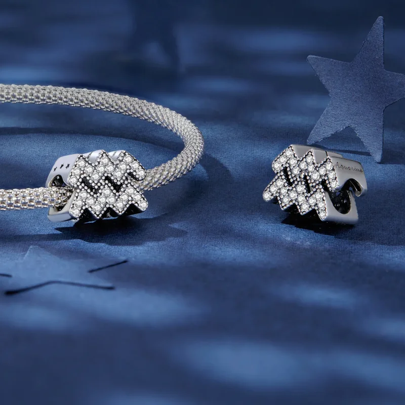 (bilde for) Pandora Style Aquarius Lucky Zodiac Charm - SCC2516-12 - Vis 4