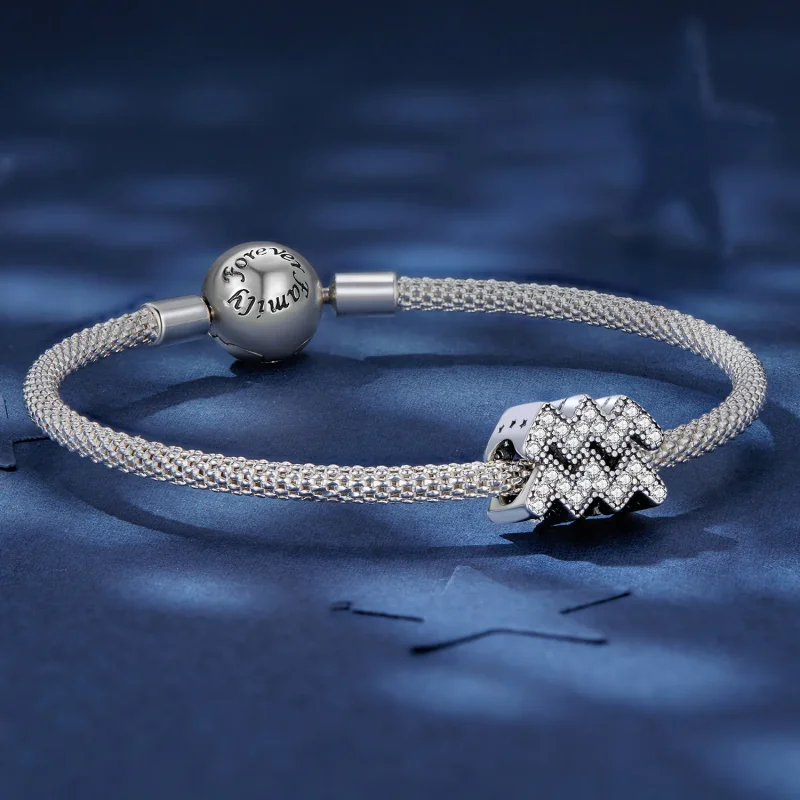 (bilde for) Pandora Style Aquarius Lucky Zodiac Charm - SCC2516-12 - Vis 5