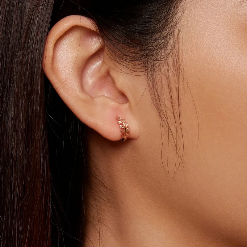 (bilde for) Pandora Style Leaves Hoops øredobber - BSE500-C - Vis 7