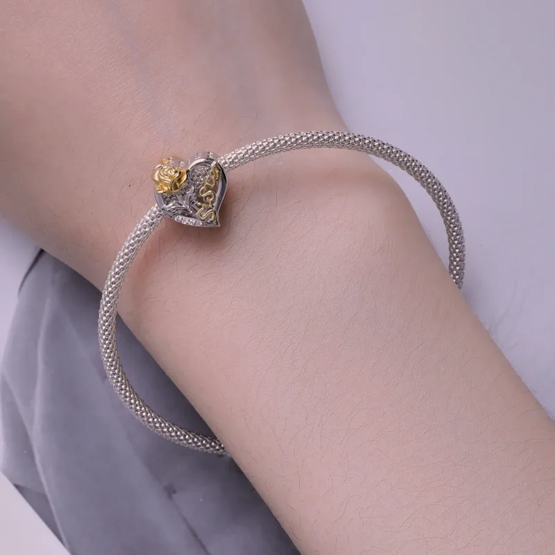 (bilde for) Pandora Style Sisters Charm - BSC841 - Vis 6