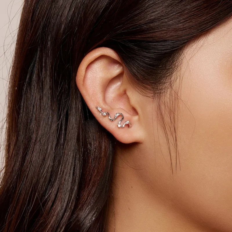 (bilde for) Pandora Style Texture Lines ørepynt - SCE1599 - Vis 6