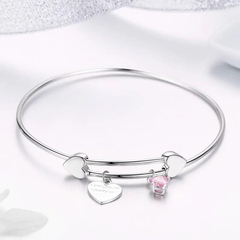 (bilde for) Pandora Style Sølv Love Promise Charm Entwined Slider Bangle - SCB124 - Vis 4