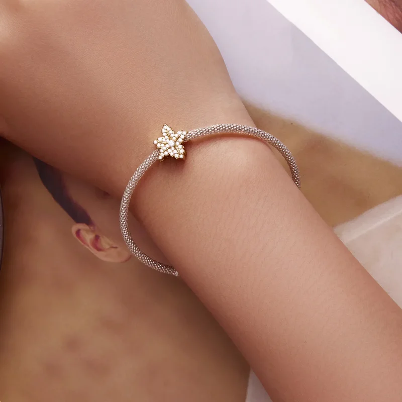 (bilde for) Pandora Style Maple Leaf Charm - BSC673 - Vis 6