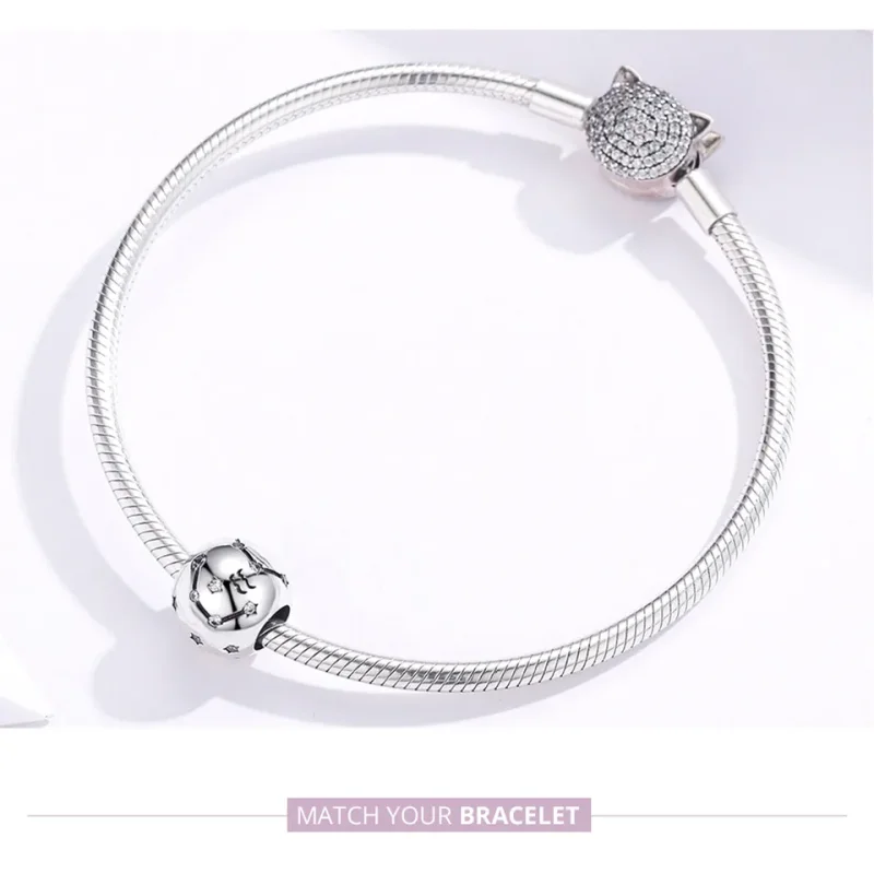 (bilde for) Pandora Style Sølv Aquarius Charm - SCC1218-11 - Vis 5