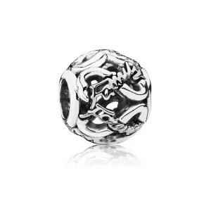 (bilde for) Pandora Family Always & Forever Charm - 791525CZ