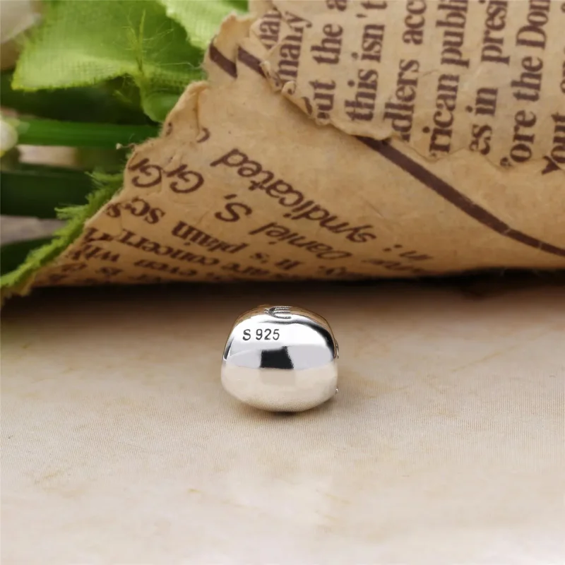 (bilde for) PANDORA Pengeposer Charm - PS00172-1 - Vis 4