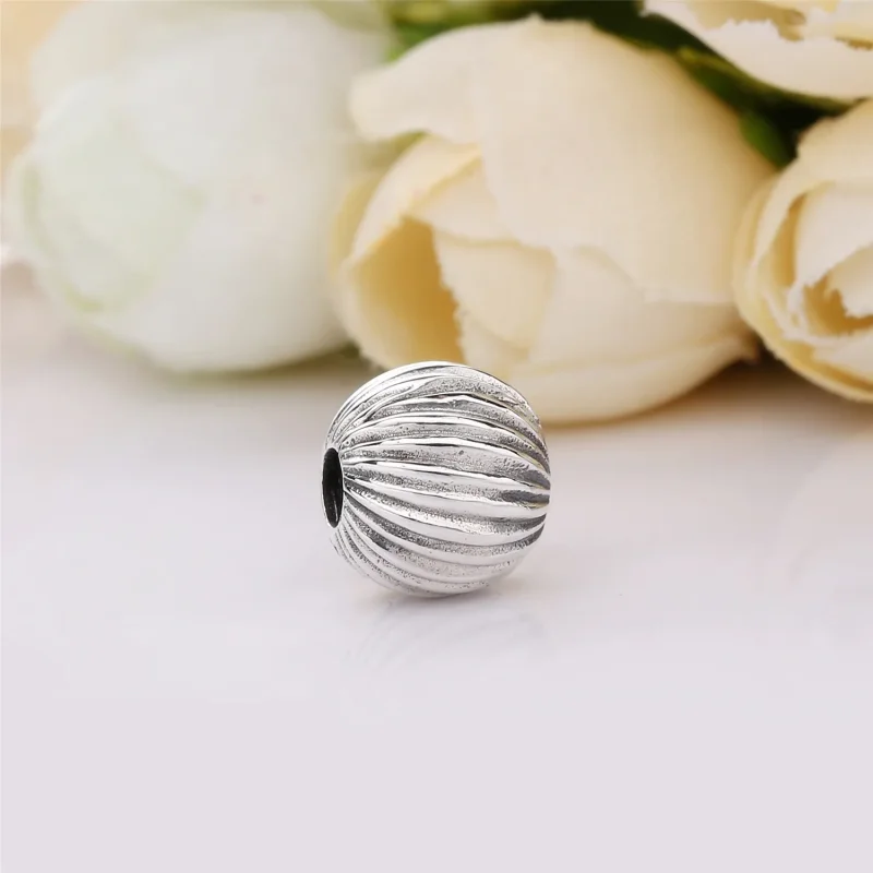 (bilde for) Pandora Silver clip and silicone grip - 797578 - Vis 2