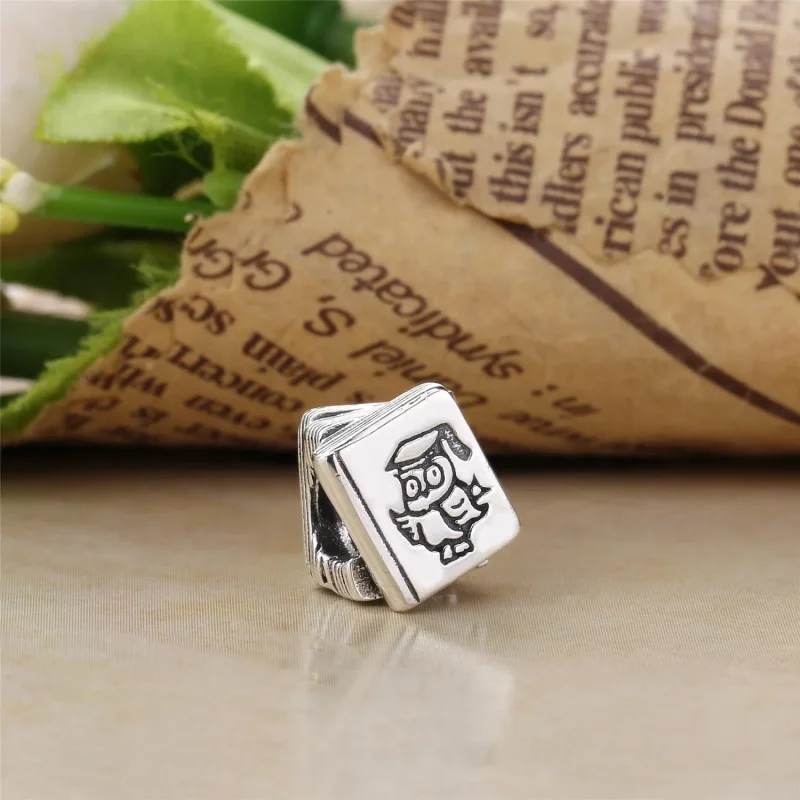 (bilde for) Pandora Studiebok Charm - 790536 - Vis 2