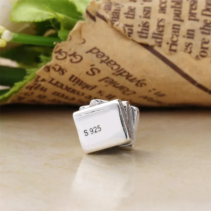 (bilde for) Pandora Studiebok Charm - 790536 - Vis 3