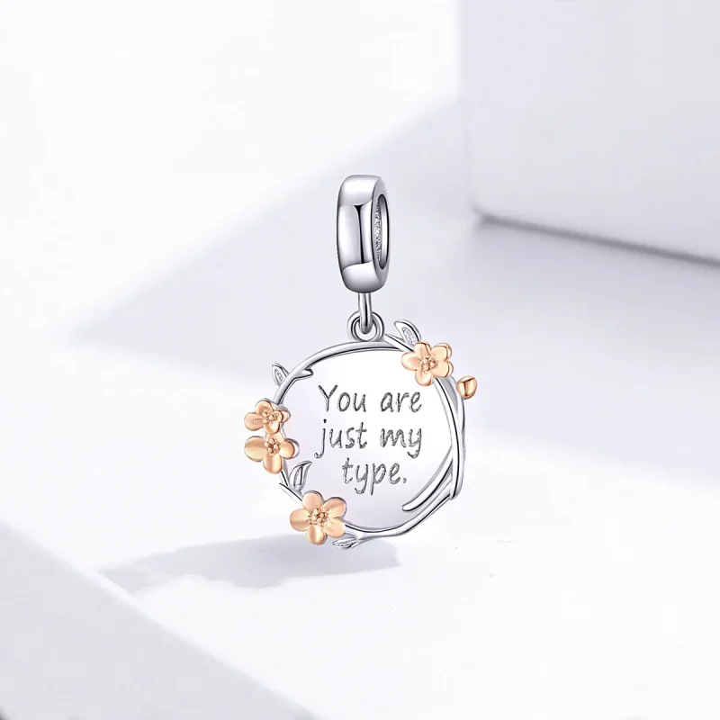 (bilde for) Pandora Style Two Tone Bicolor You Are Just My Type Dangle - BSC147 - Vis 2