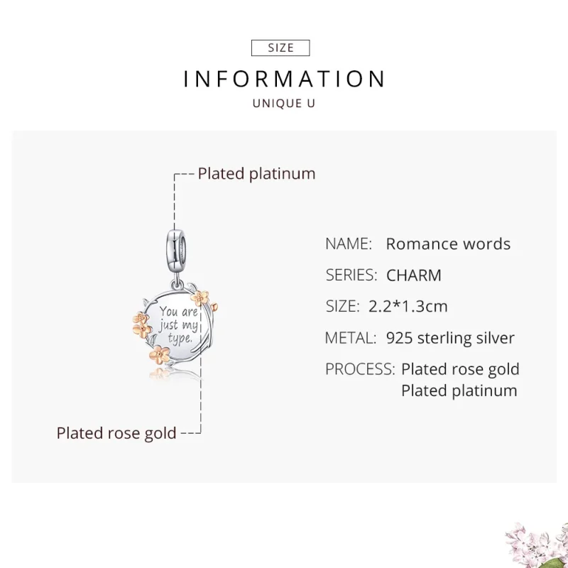 (bilde for) Pandora Style Two Tone Bicolor You Are Just My Type Dangle - BSC147 - Vis 7