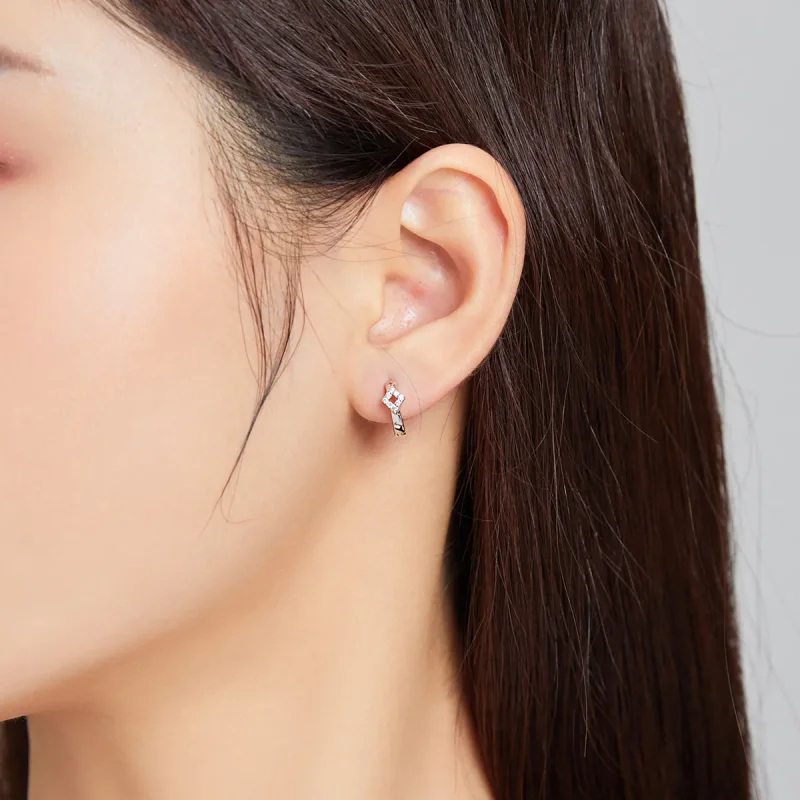 (bilde for) Pandora-stil sølv skinnende diamantring øredobber - SCE1048 - Vis 5