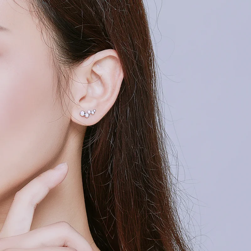 (bilde for) Pandora-stil sølv skinnende eleganse øredobber - BSE235 - Vis 5