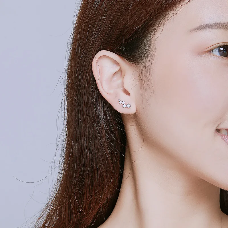 (bilde for) Pandora-stil sølv skinnende eleganse øredobber - BSE235 - Vis 6
