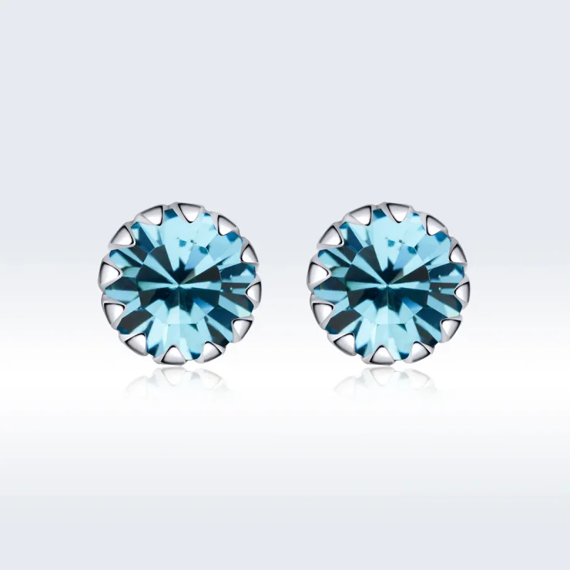 (bilde for) Pandora Style Sølv Birthstone desember ørepynt - SCE862-12 - Vis 3