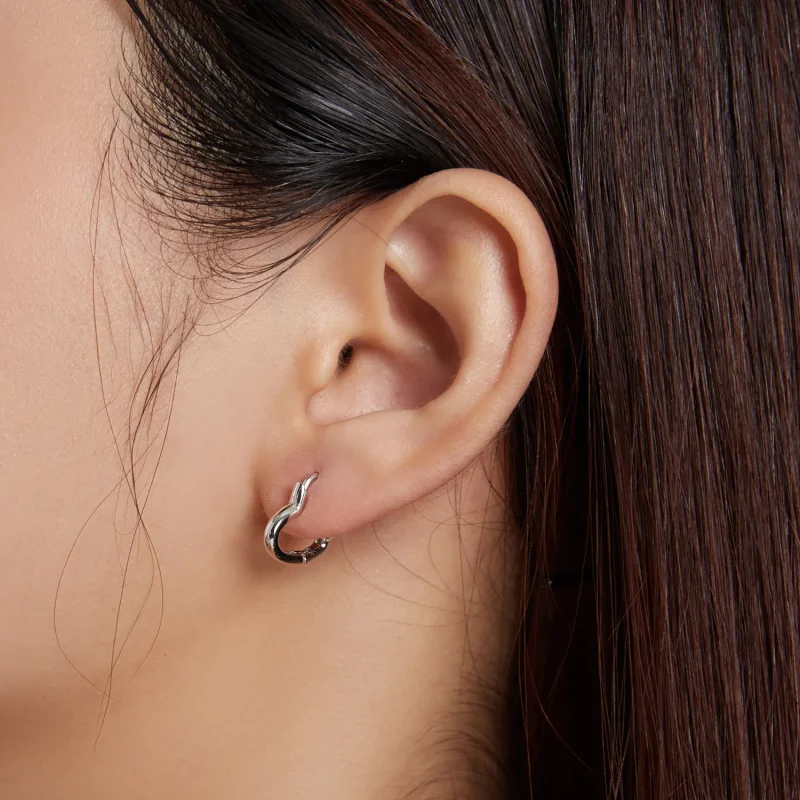 (bilde for) Pandora Style Metal Hjertebøyle øredobber - SCE1174-A - Vis 4
