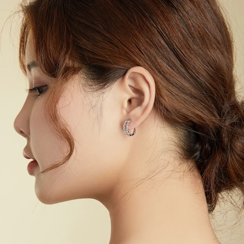 (bilde for) Pandora Style Simple Double Layer Hoop øredobber - BSE458 - Vis 8