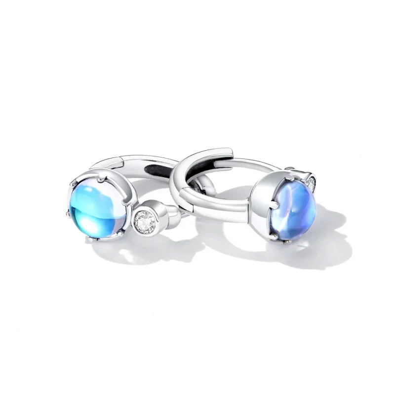 (bilde for) Pandora Style Simple Symphony Hoop øredobber - SCE1411 - Vis 4