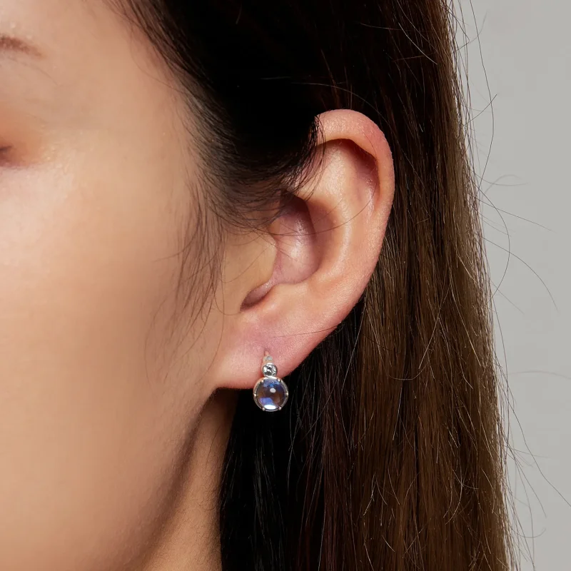 (bilde for) Pandora Style Simple Symphony Hoop øredobber - SCE1411 - Vis 6