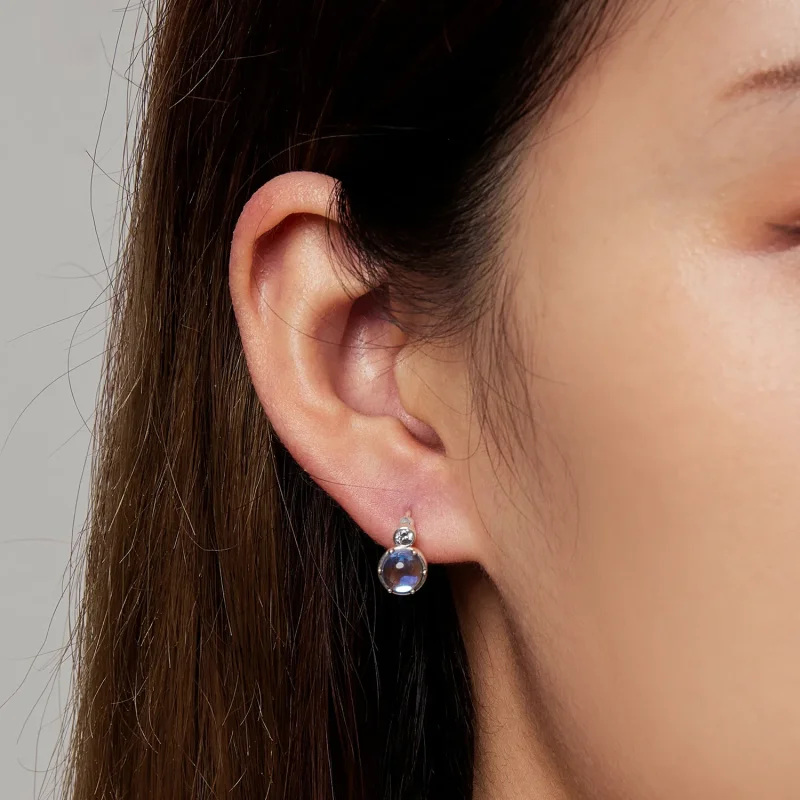 (bilde for) Pandora Style Simple Symphony Hoop øredobber - SCE1411 - Vis 7