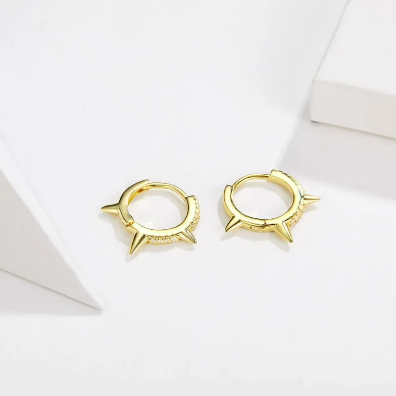 (bilde for) Pandora Style Uregelmessig Geometry Hoop Øredobber - BSE168 - Vis 3