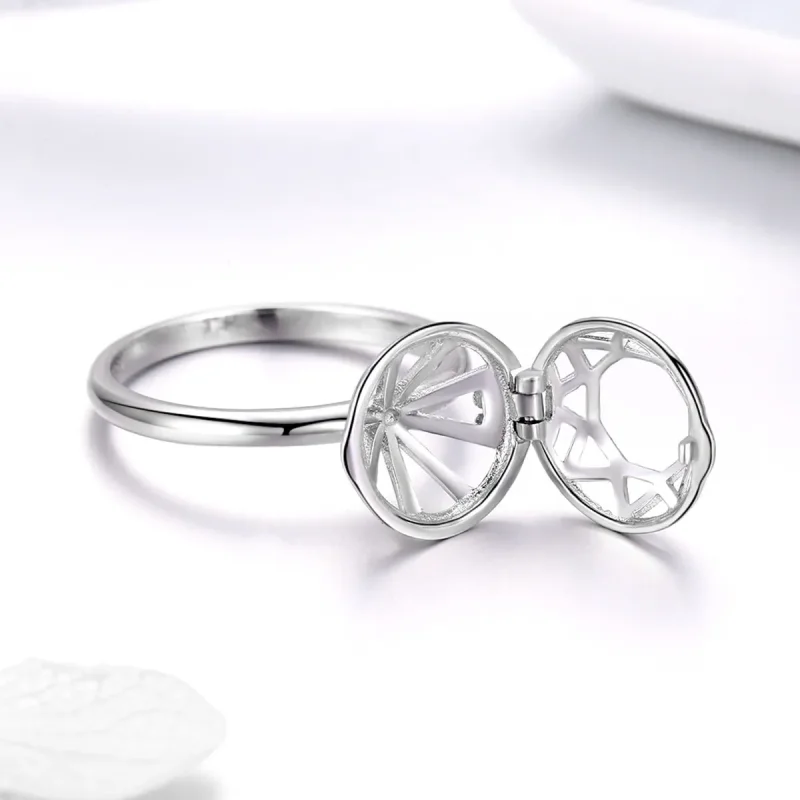 (bilde for) Pandora Style Silver Love Testimony Ring - SCR492 - Vis 6