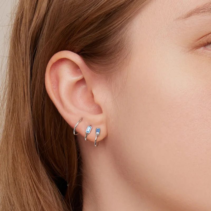 (bilde for) Pandora Style enkle innlagte øredobber med stein - SCE1463 - Vis 7