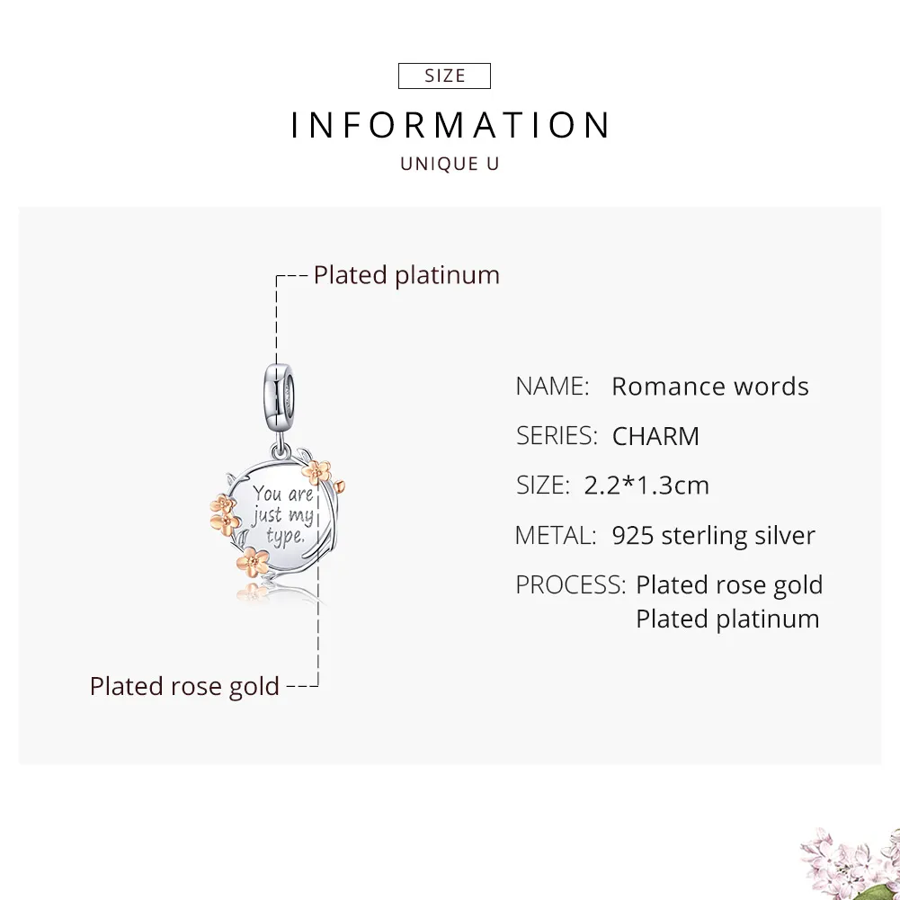 Pandora Style Two Tone Bicolor You Are Just My Type Dangle - BSC147