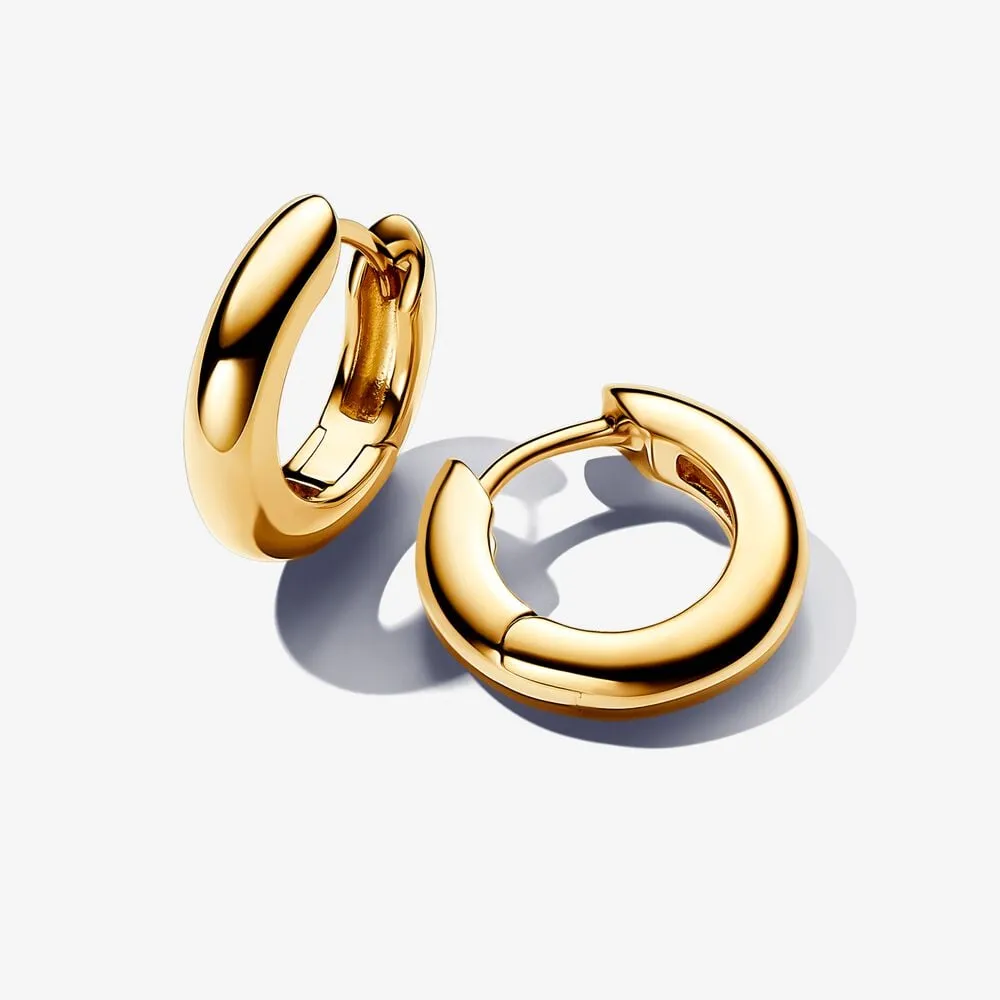 pandora rund hoop øreringer 263320c00