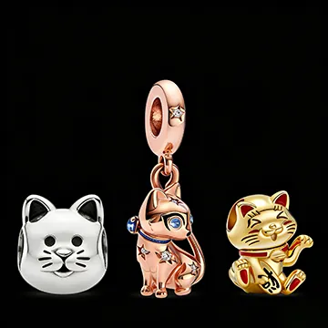 (bilde for) Katt